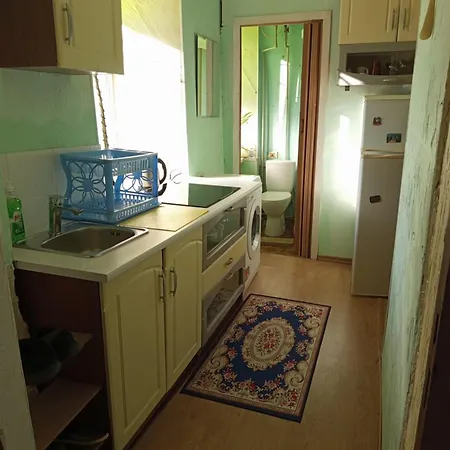 Apartment дегтярная *